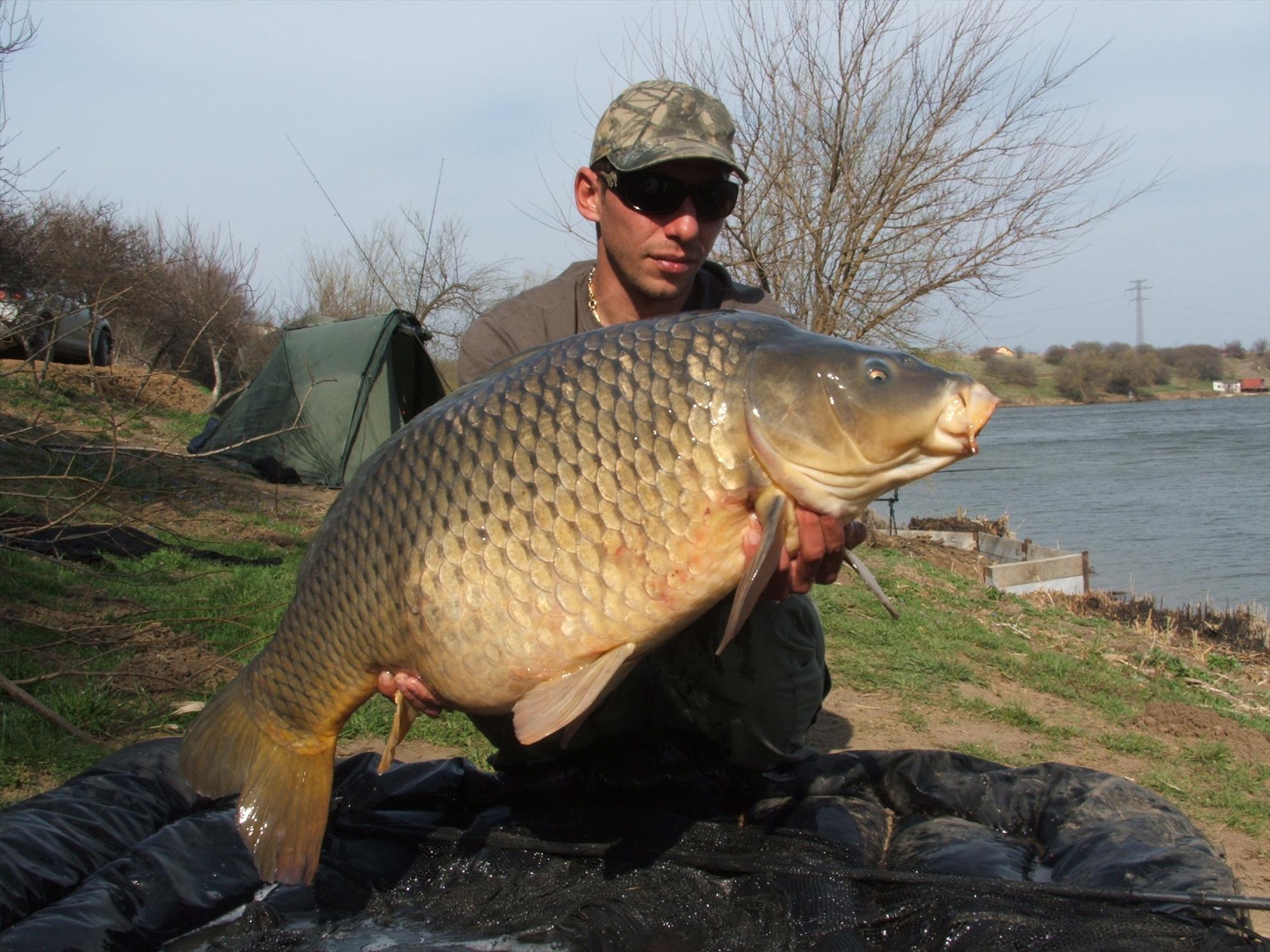 Foto dulapi - dscf0663.JPG